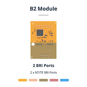 Module 2 ports BRI